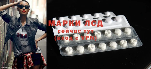 СК Михайлов