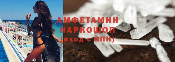 шишки Михайловск