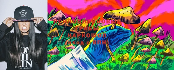 шишки Михайловск