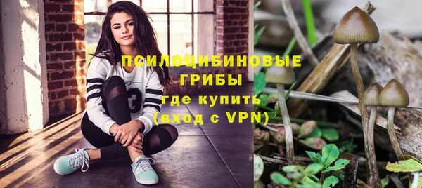 шишки Михайловск