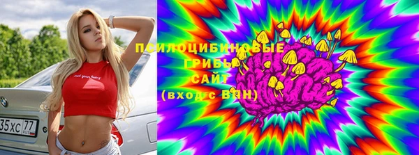 шишки Михайловск