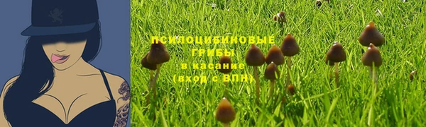 СК Михайлов