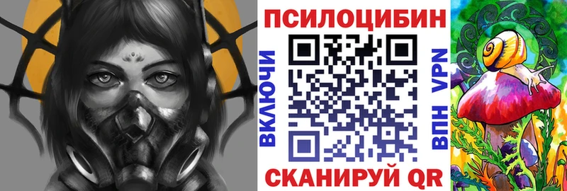 купить закладку  Долгопрудный  Псилоцибиновые грибы мухоморы 