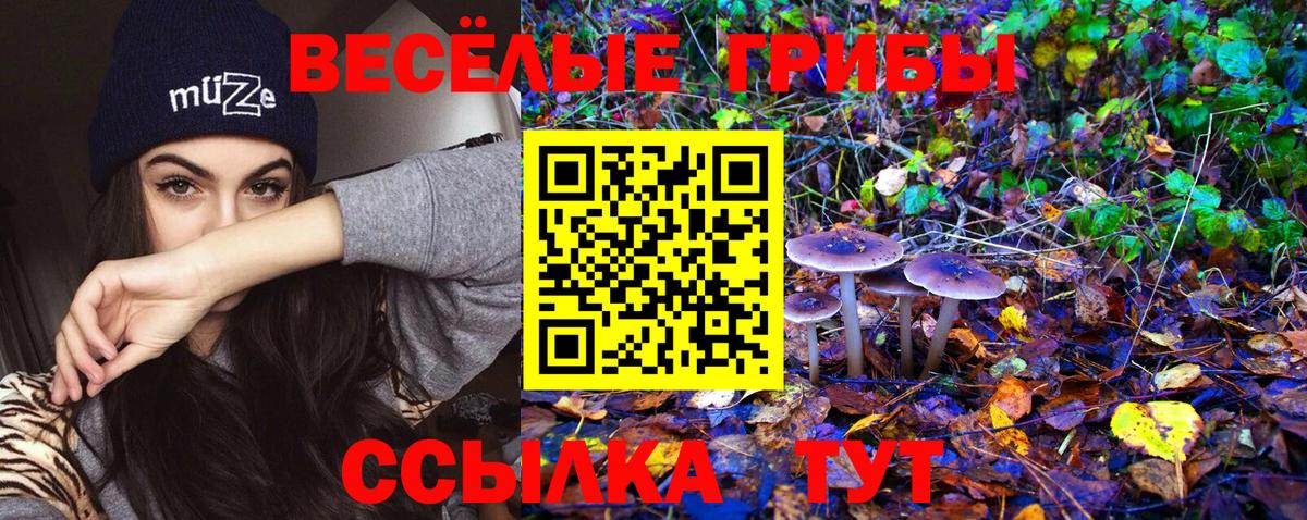 Галлюциногенные грибы ЛСД Долгопрудный