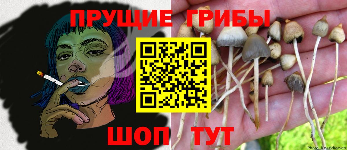 Псилоцибиновые грибы Magic Shrooms  Вход с VPN  Долгопрудный  Псилоцибиновые грибы Magic Shrooms 