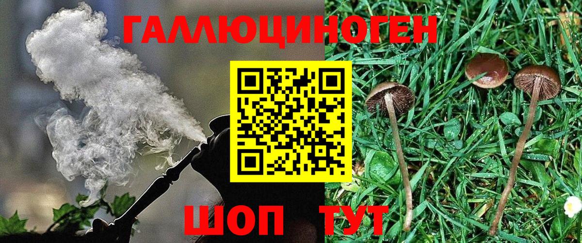 Галлюциногенные грибы Psilocybine cubensis  Долгопрудный  Псилоцибиновые грибы ЛСД 